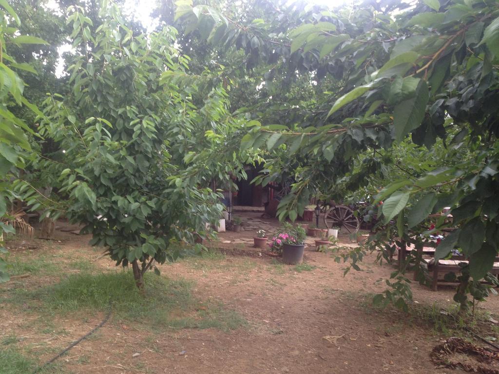 Salkim Konak Ve Agac Evler Pension Selçuk Kamer foto