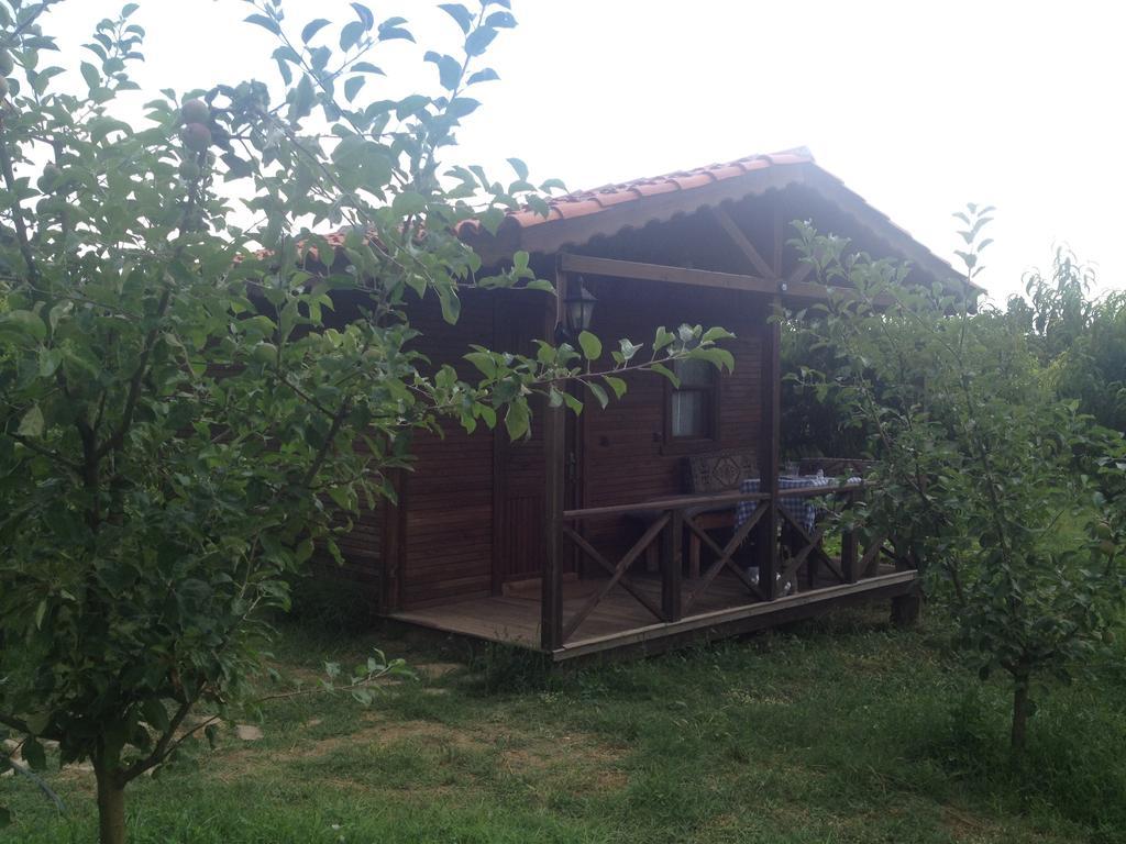 Salkim Konak Ve Agac Evler Pension Selçuk Kamer foto