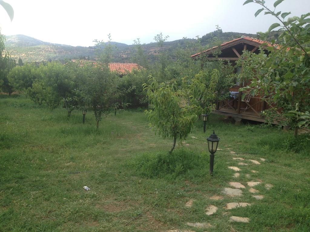 Salkim Konak Ve Agac Evler Pension Selçuk Kamer foto