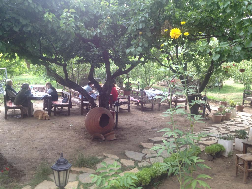 Salkim Konak Ve Agac Evler Pension Selçuk Buitenkant foto