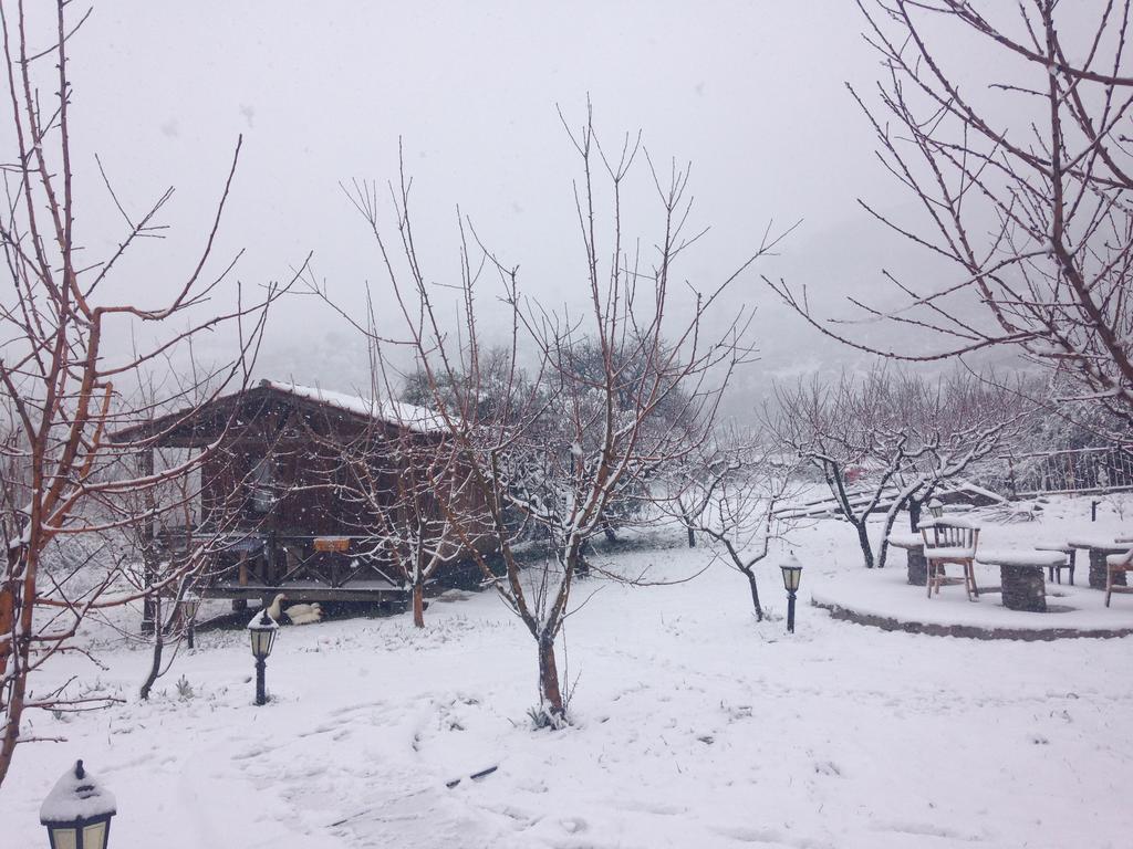 Salkim Konak Ve Agac Evler Pension Selçuk Buitenkant foto