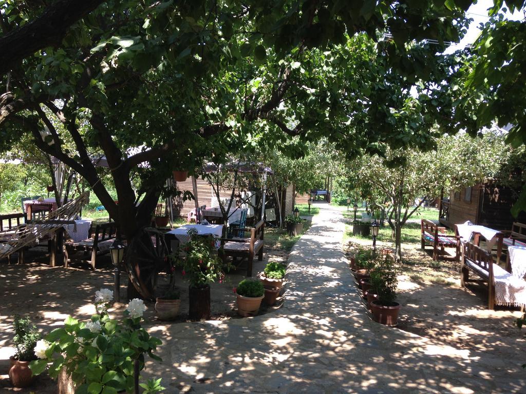 Salkim Konak Ve Agac Evler Pension Selçuk Buitenkant foto
