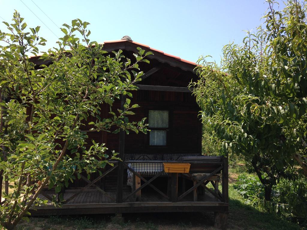Salkim Konak Ve Agac Evler Pension Selçuk Buitenkant foto
