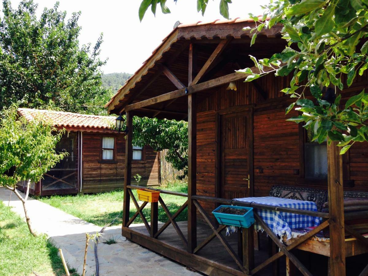 Salkim Konak Ve Agac Evler Pension Selçuk Buitenkant foto